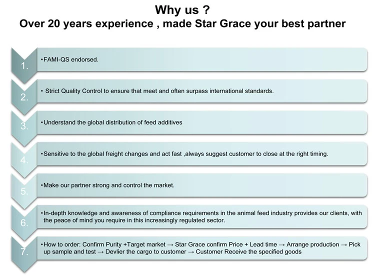 product-1-1 1 Why Star Grace Mining