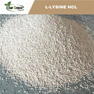 L-Lysine پولٹری کے لیے