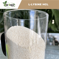 ایل-لائیسین مونو ایچ سی ایل 98.5٪ 25