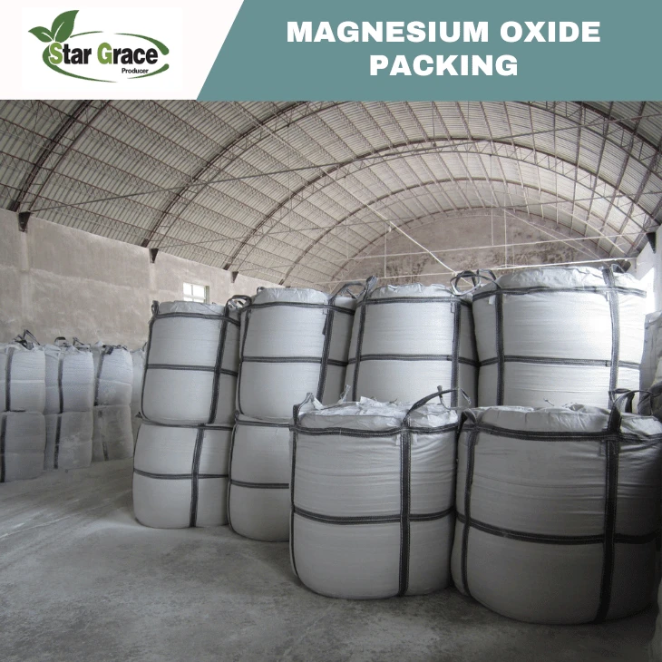 Caustic Calcined Magnesia Powder CCM