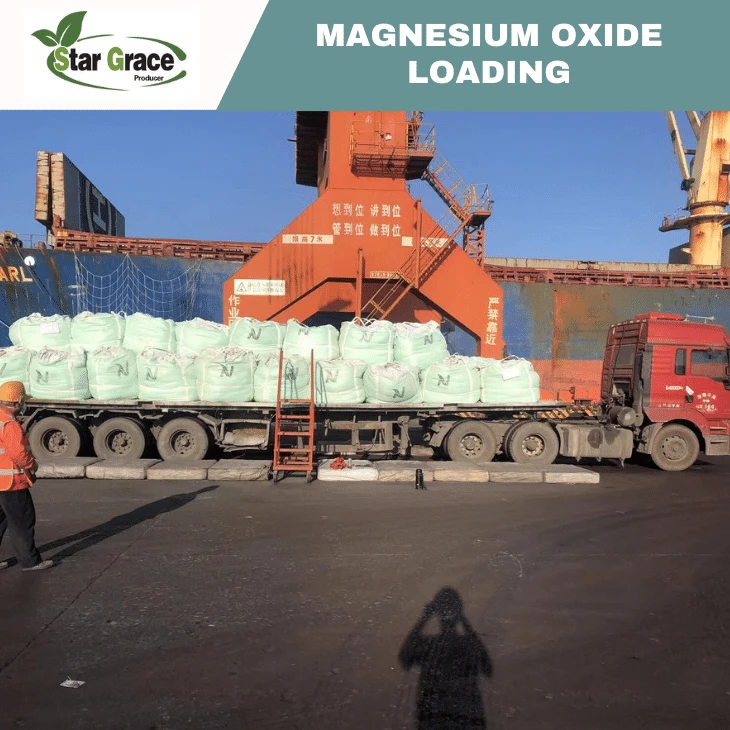 Caustic Calcined Magnesia Powder CCM
