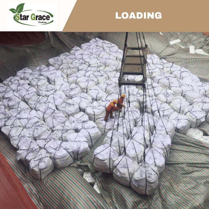 Choline Chloride Feed Additive