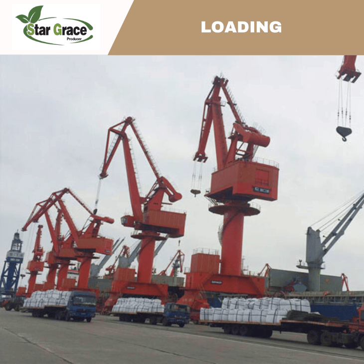 L-Lysine HCI Feed Grade for Fish