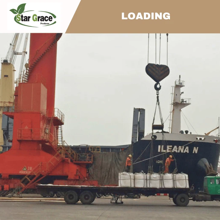 Lysine HCl Feed Grade Poultry And Livestock Food