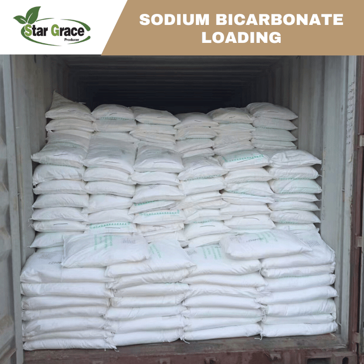 Sodium Bicarbonate for Sheep