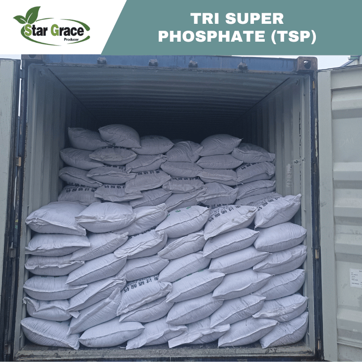 TSP Fertilizer