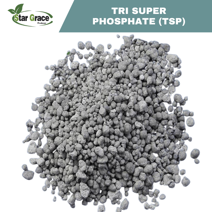 TSP Fertilizer